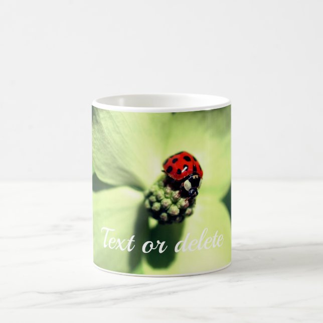Taza De Café Ladybug En La Flor Dogwood Personalizada (Centro)
