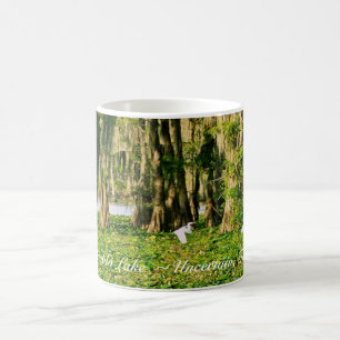 Taza de café - lago Cypress y Bird-001 Caddo
