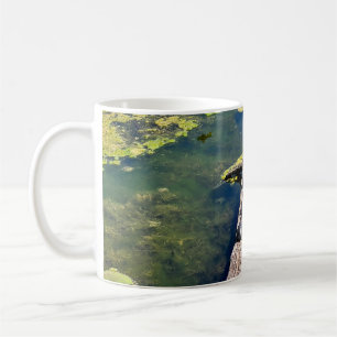 Taza De Café Lago Erie Metropark Turtle Log