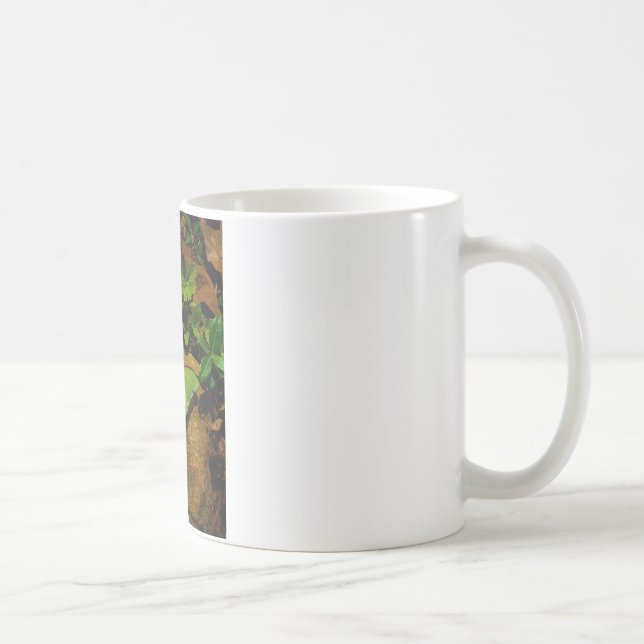 Taza De Café Lágrima luna verde gigante (Derecha)