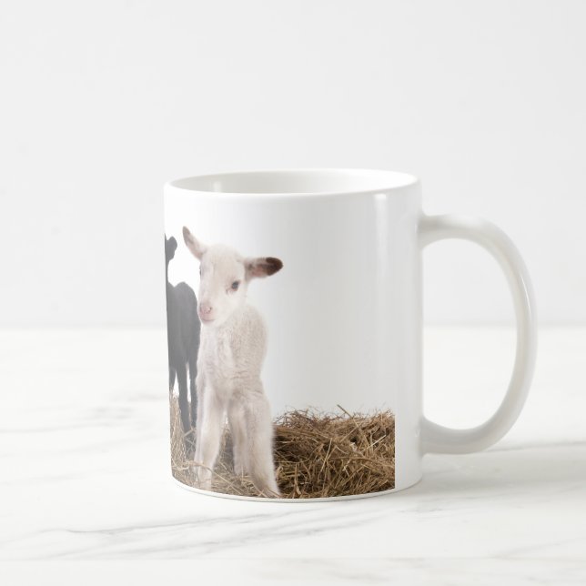 Taza De Café lamb (Derecha)