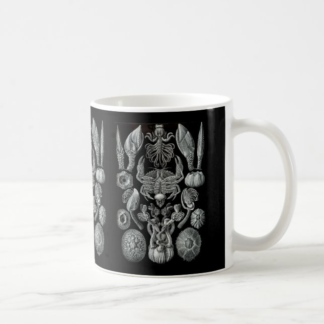 Taza De Café Lapas (Derecha)