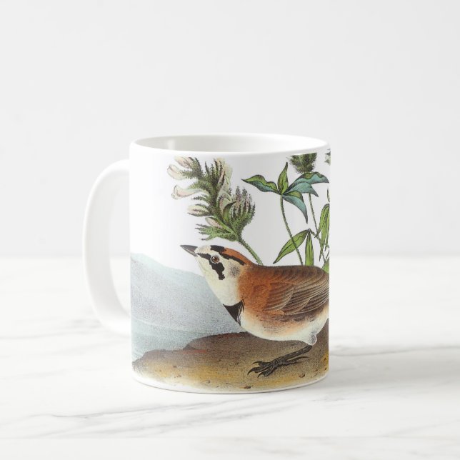 Taza De Café Largo jorobado de Audubon (Anverso izquierdo)