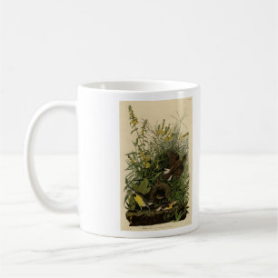 Taza De Café Lark pradera de los pájaros de América de Audubon