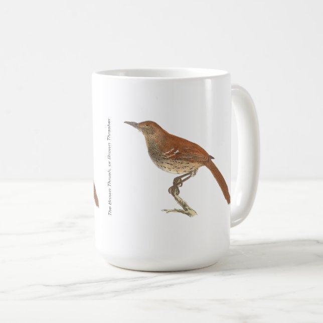 Taza De Café Las Aves de Nueva York, las Arañas Marrones o Marr (Anverso derecho)