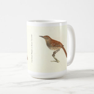 Taza De Café Las Aves de Nueva York, las Arañas Marrones o Marr