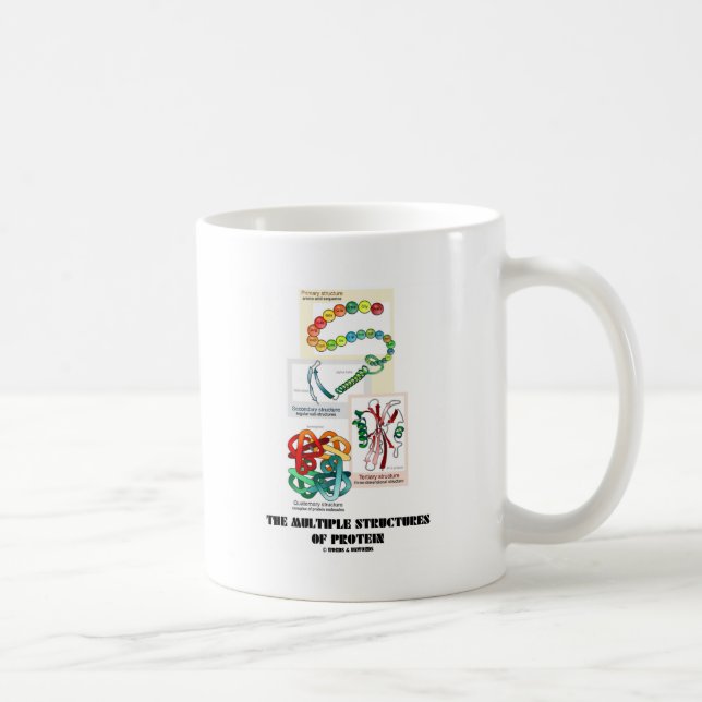 Taza De Café Las estructuras múltiples de la proteína (Derecha)
