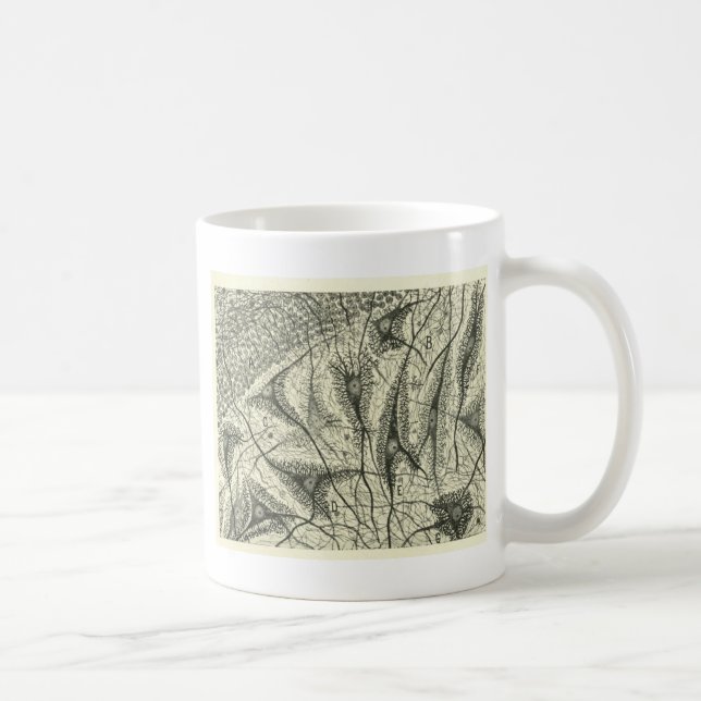 Taza De Café Las neuronas 4 de Cajal (Derecha)