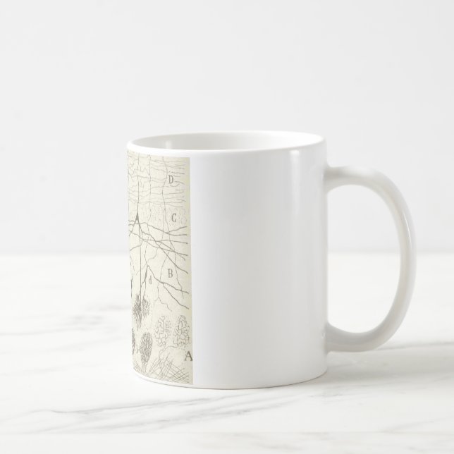 Taza De Café Las neuronas 8 de Cajal (Derecha)