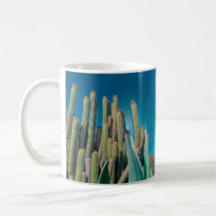 Taza De Café Las plantas de cactus del desierto de África temen