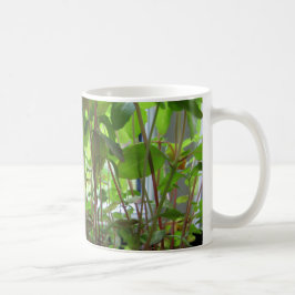 Taza De Café Las plantas guardan el crecer de las semillas