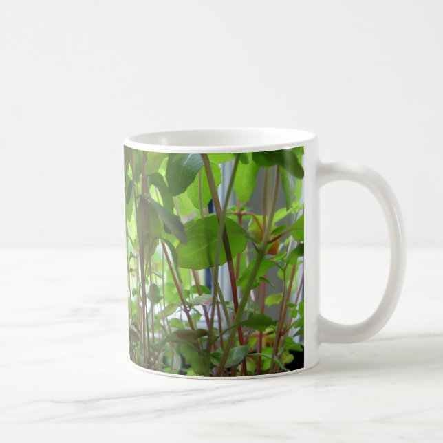 Taza De Café Las plantas guardan el crecer de las semillas (Derecha)