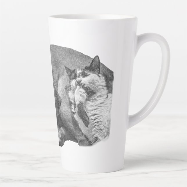 Taza De Café Latte Acogedor Duo, suave sombra (Derecha)