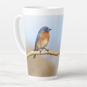 Taza De Café Latte Alumnaina