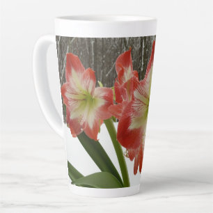 Taza De Café Latte Amaryllis en floral de invierno en la nieve roja f