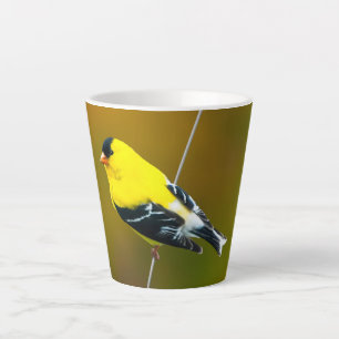 Taza De Café Latte American Goldfinch - Fotografía original