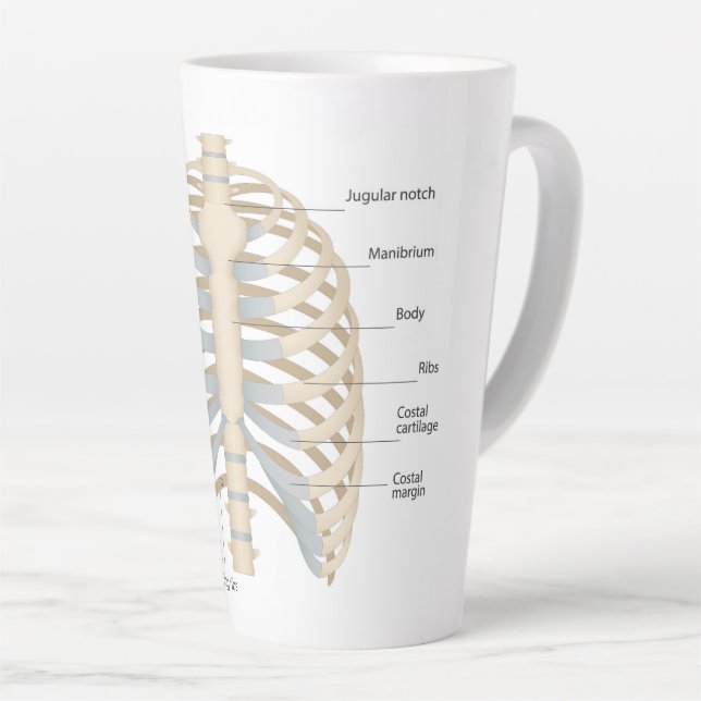 Taza De Café Latte Anatomía de pecho humana (Ángulo derecho)