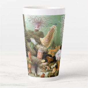 Taza De Café Latte Anémonas de Mar Vida Marina, Animales Marinos Vint