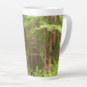 Taza De Café Latte Árboles de secuoya en monumento nacional Muir Wood