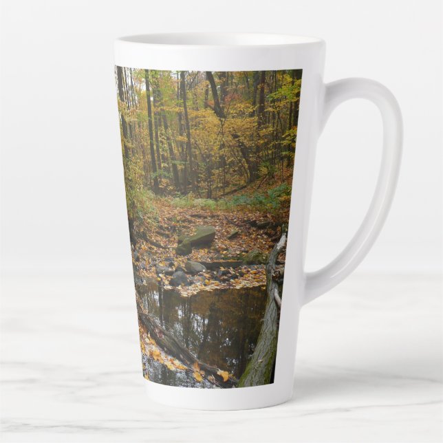 Taza De Café Latte Arroyo Fall con reflejo en el parque Laurel Hill (Derecha)