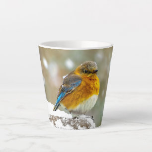 Taza De Café Latte Azulejo Oriental en la Nieve - Fotografía Original