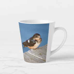 Taza De Café Latte Barn Swallow latte mug