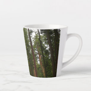 Taza De Café Latte Bosque Mariposa en el Parque Nacional Yosemite