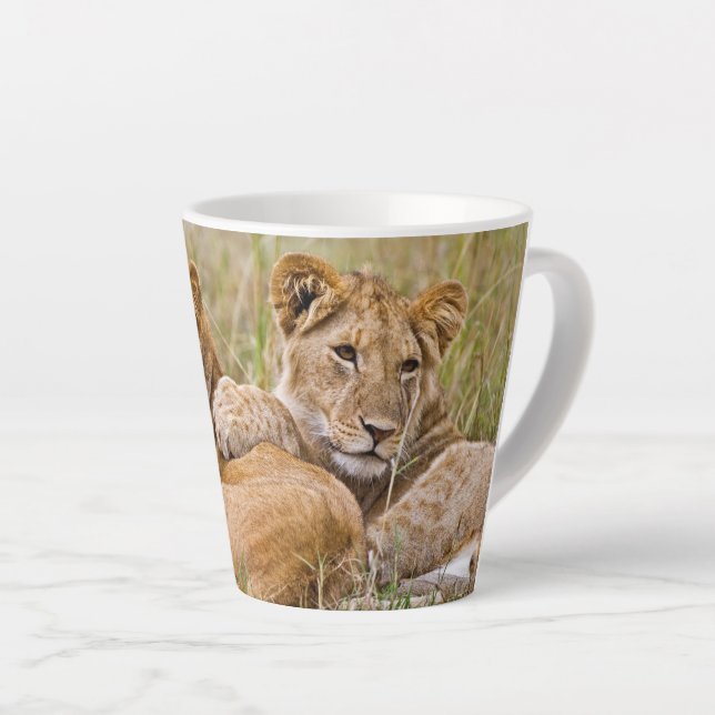 Taza De Café Latte Cachorros de León Reposando (Ángulo derecho)