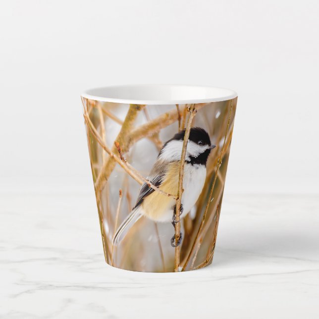 Taza De Café Latte Carbonero Común - Fotografía Original (Anverso)