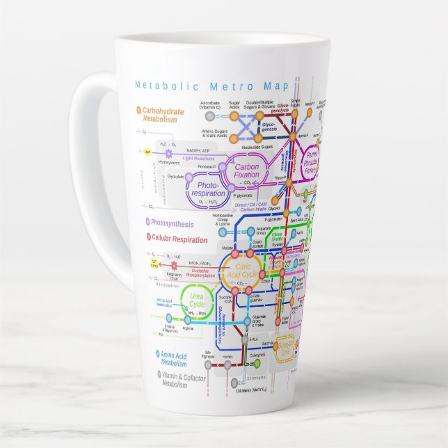 Taza De Café Latte Carretera metabólica (Ángulo izquierdo)