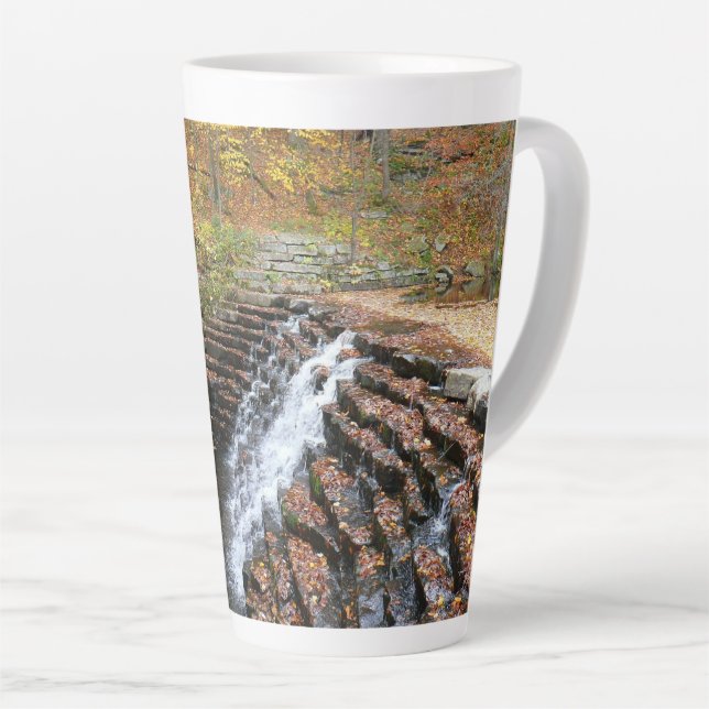 Taza De Café Latte Cascada en el Parque Estatal Laurel Hill (Ángulo derecho)