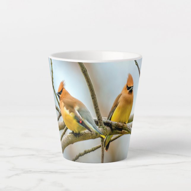 Taza De Café Latte Cedar Waxwing - Fotografía original (Anverso)