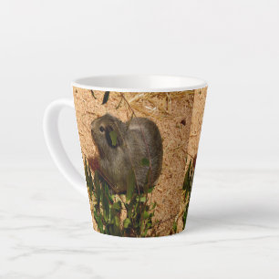 Taza De Café Latte Cerdo marrón haitiano de Guinea,