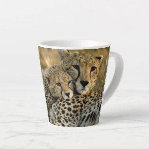 Taza De Café Latte Cheetah Cub contrabandeando a su mamá