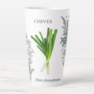Taza De Café Latte Ciboulette — Allium schoenoprasum