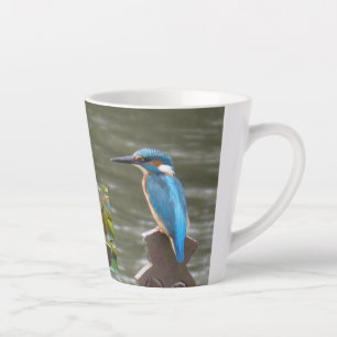 Taza De Café Latte Cute Kingfishers Latte Mug