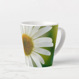 Taza De Café Latte Daisy de Oxeye blanco - Leucanthemum vulgare