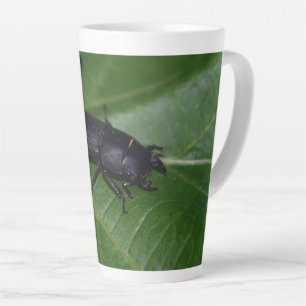 Taza De Café Latte Dorcus parallelipipedus , el escarabajo de menor t