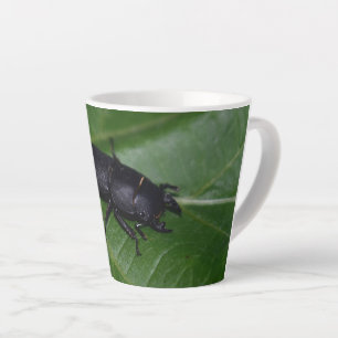 Taza De Café Latte Dorcus parallelipipedus , el escarabajo de menor t