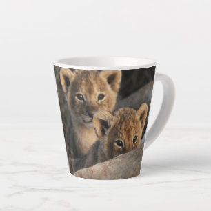 Taza De Café Latte El trío de cobs de leones con madre