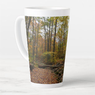 Taza De Café Latte Fall Creek en Laurel Hill State Park Pennsylvania
