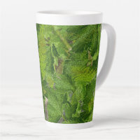 Fantasy Tropical Forest