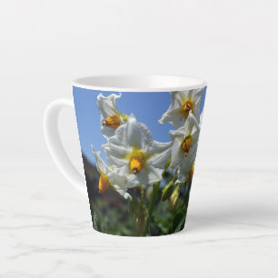 Taza De Café Latte Flores estéticas Solanum tuberosum