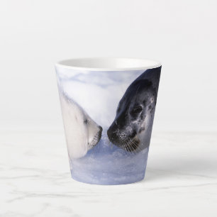 Taza De Café Latte Foca de Arpa Madre con Cría