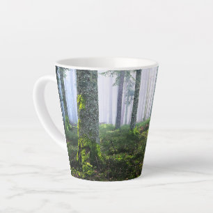 Taza De Café Latte Foto de bosque soñador en la mañana