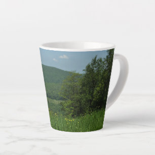 Taza De Café Latte Fotografía de verano de Laurel Highlands Pennsylva