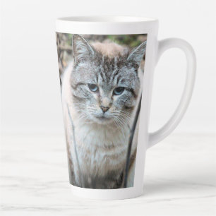 Taza De Café Latte Gato