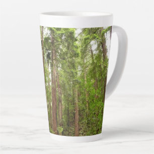 Taza De Café Latte Hasta secuoyas en el Monumento Nacional Muir Woods
