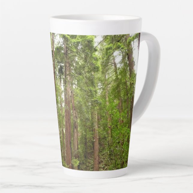 Taza De Café Latte Hasta secuoyas en el Monumento Nacional Muir Woods (Ángulo derecho)