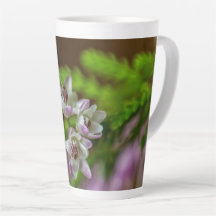 Heather Spring flor evergreen flor morado blanco